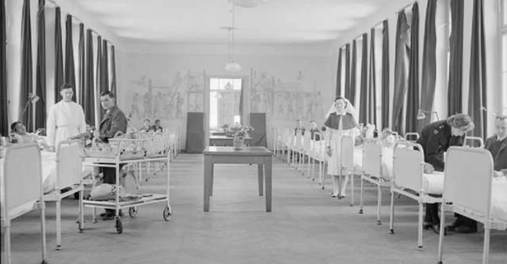 womens role in nursing during times of war and peace
